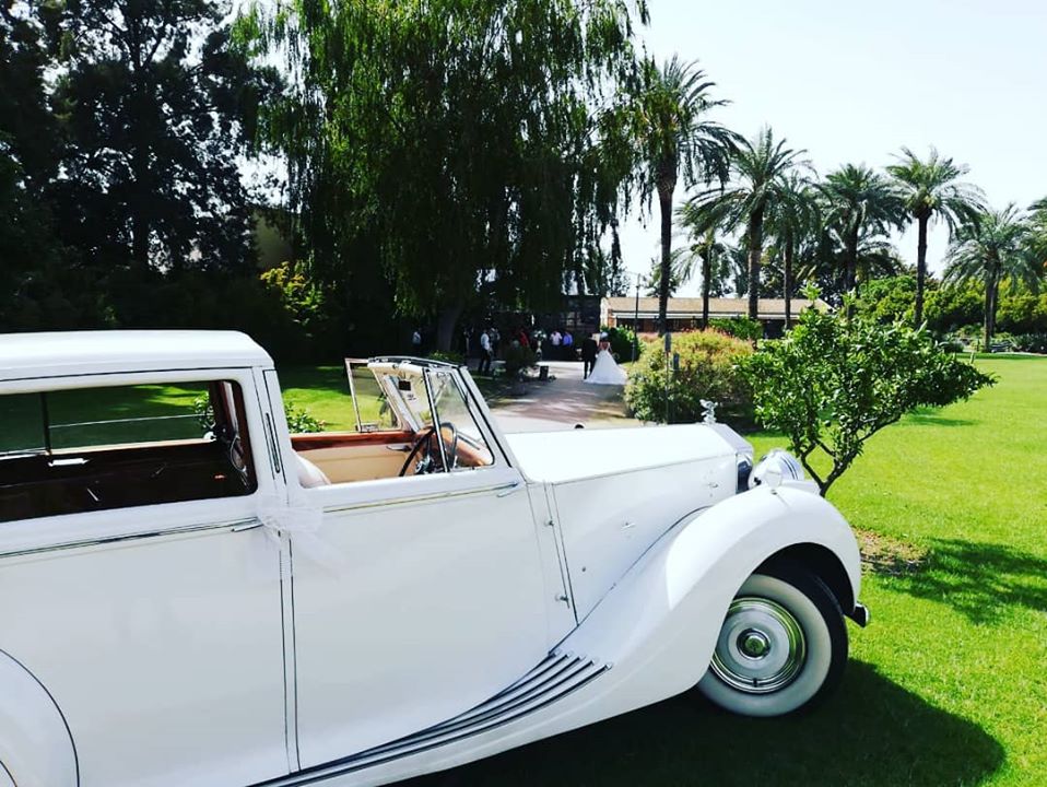 Rolls Royce blanco esperando en jardín de banquete